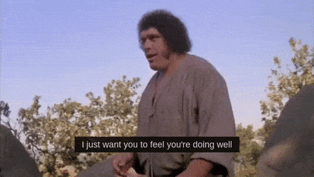 Princess Bride gif of Andre the Giant saying "I just want you to feel you are doing well"