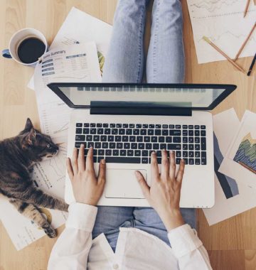 photo of a laptop on a woman's lap, with her cat relaxing beside her