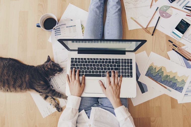 photo of a laptop on a woman's lap, with her cat relaxing beside her