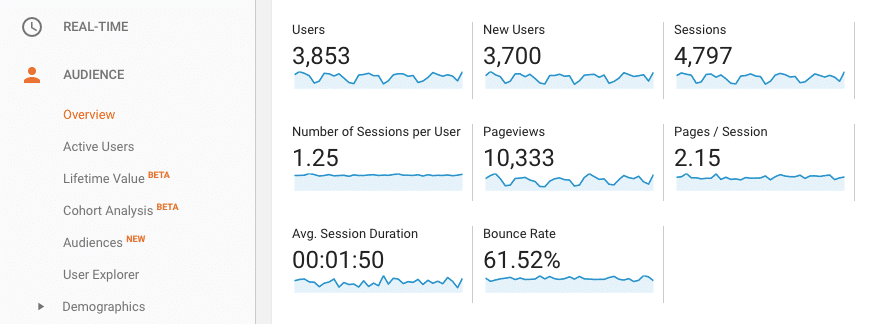 google analytics view showing audience data